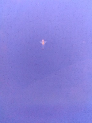 IMG_2024-02-10-11-40-20-866.jpg